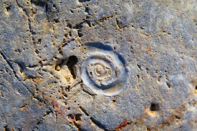 Olous  Guided Snorkelling Excursion to Discover Olous Sunken Ancient City - FAQ