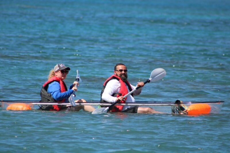 Olowalu: Guided Clear Kayak Tour - Unlimited - Key Points