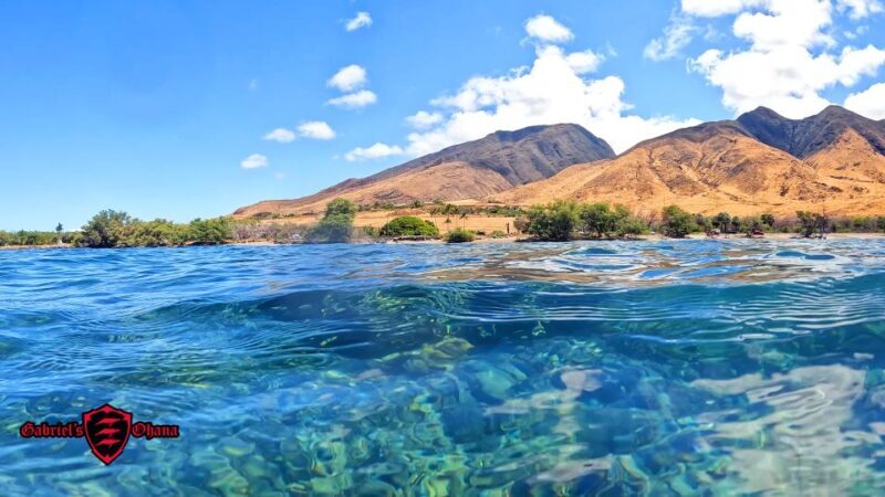 Olowalu: Guided Clear Kayak Tour - Unlimited - A Deep Dive into the Olowalu Clear Kayak Experience