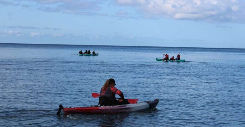 Olowalu: Guided Kayak and Snorkeling Tour - Unlimited - Introduction: Why This Tour Stands Out