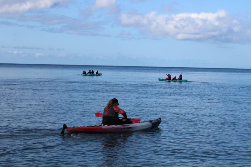 Olowalu: Guided Kayak and Snorkeling Tour - Unlimited - The Value of This Experience
