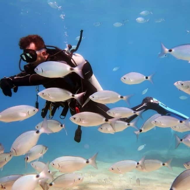 Oludeniz Half Day Scuba Diving Program - FAQs