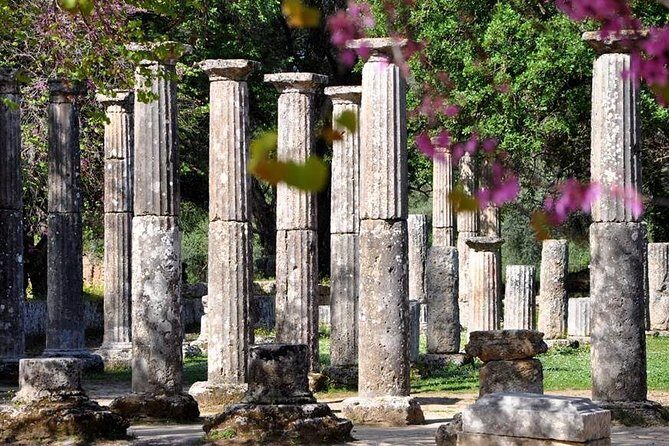 Olympia Shore Ex: Ancient Olympia, Honey Farm & Olive Oil Tasting - What Travelers are Saying