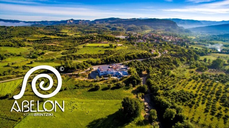 Olympia Treasures: Private Oil, Honey and Wine Tasting Tour - Practical Considerations and Tips