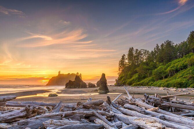 Olympic Full Day Private Tour and Hike - The Hoh Rainforest: Walking Through Enchantment