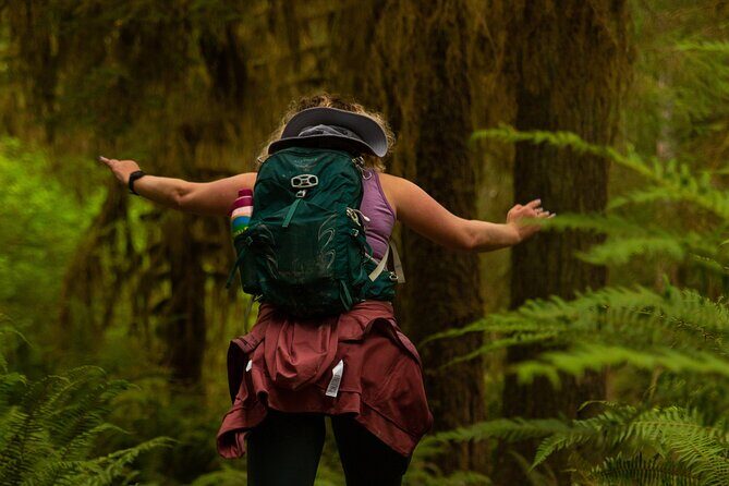 Olympic Full Day Private Tour and Hike - The Big Cedar Tree: An Ancient Sentinel