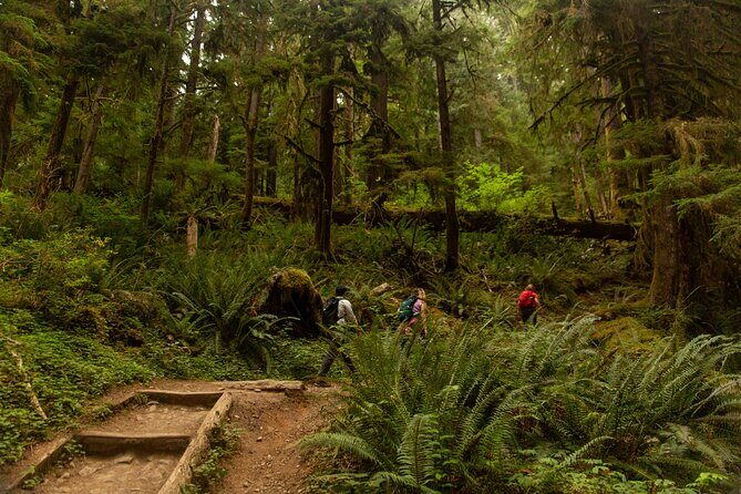 Olympic Full Day Private Tour and Hike - Transport, Timing, and Flexibility