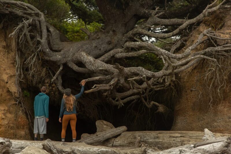 Olympic Full Day Private Tour & Hike - The Sum Up: Who Should Book This Tour?