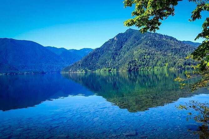 Olympic National Park Day Tour from Seattle - The Itinerary in Detail: What to Expect and Why It Matters