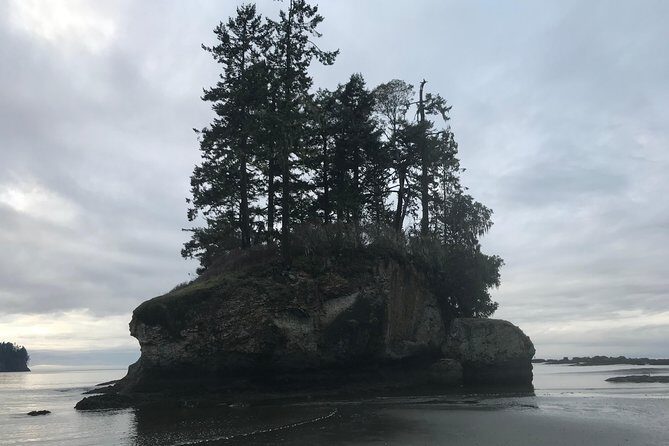 Olympic National Park Day Tour from Seattle - FAQ