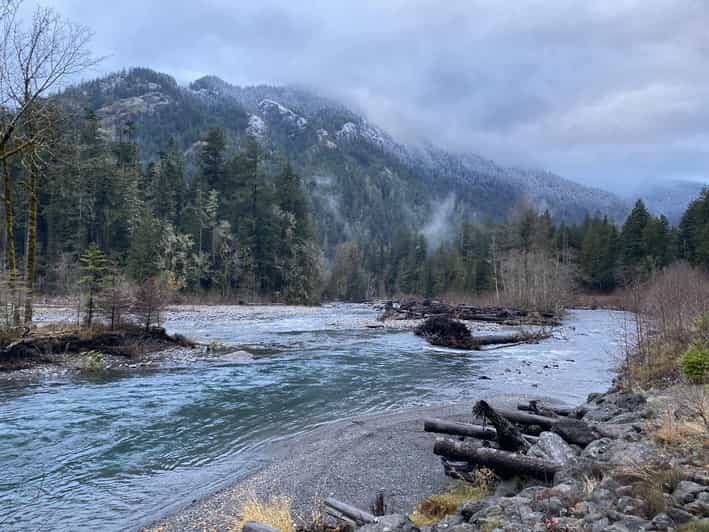 Olympic National Park: Half-Day Tour - What’s Included and What to Bring