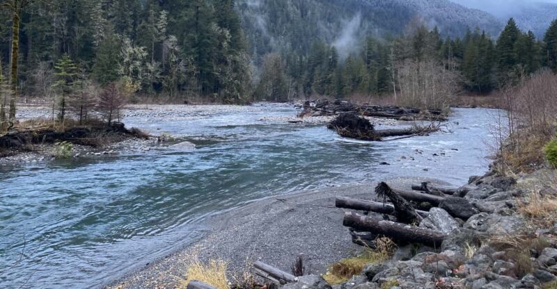 Olympic National Park: Half-Day Tour - Authentic Experiences & Practical Details