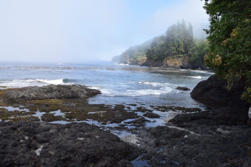 Olympic National Park: Half-Day Tour - The Sum Up
