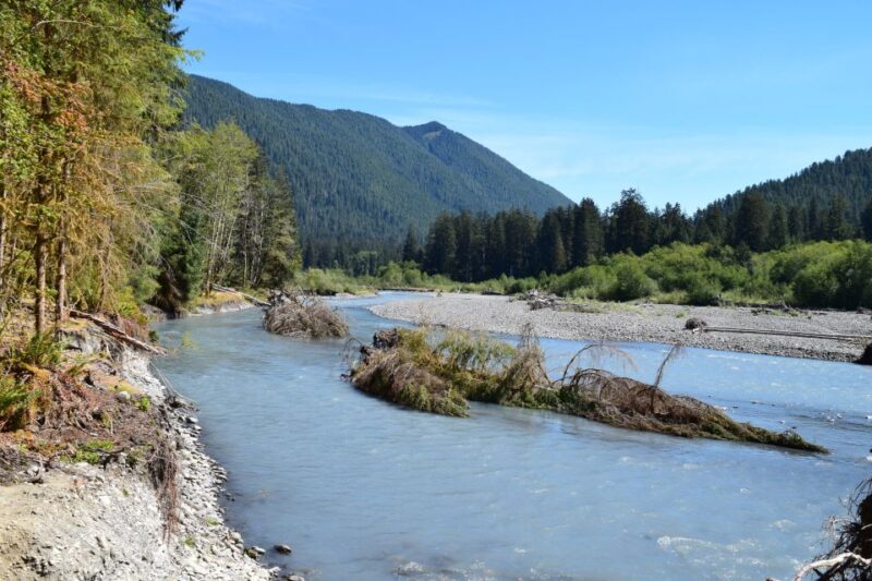 Olympic National Park: Hoh Rain Forest and Rialto Beach Tour - Key Points