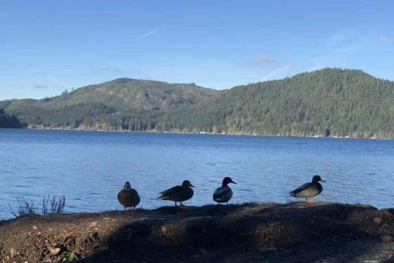 Olympic National Park Small Group Day Tour w/ State Ferries - An In-Depth Look at the Itinerary