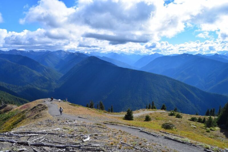Olympic National Park: Sol Duc and Hurricane Ridge Tour - Olympic National Park: Sol Duc and Hurricane Ridge Tour