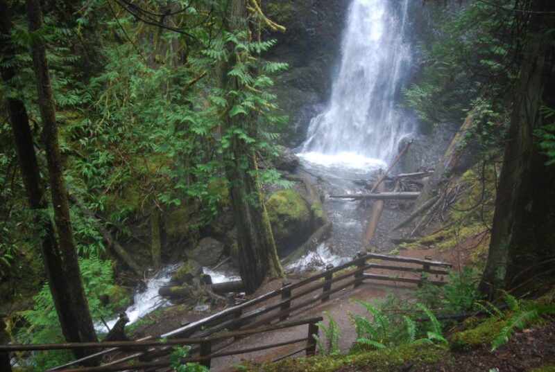 Olympic National Park: Sol Duc and Hurricane Ridge Tour - The Sum Up