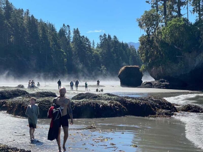 Olympic National Park Tour with Ferry Ride - Setting the Scene: What to Expect on This Olympic National Park Tour