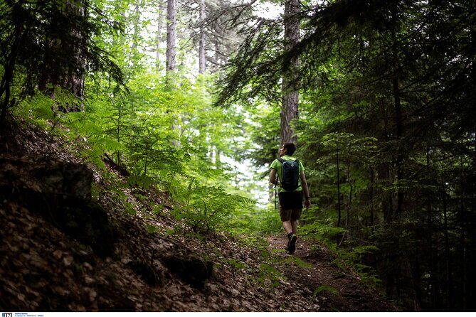 Olympus the mountain of the 12 gods of Greek mythology Smallgroup - Key Points