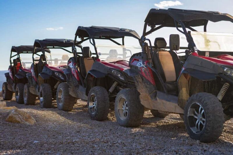 Omi: 2-Person Buggy Tour with Lunch and Wine Tasting - An In-Depth Review of the Omi Buggy Tour