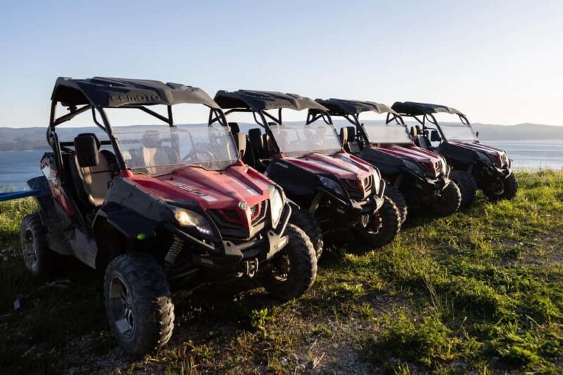 Omi: 2-Person Buggy Tour with Lunch and Wine Tasting - The Food and Drink Experience