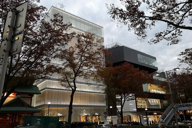 Omotesando & Shibuya Art and Culture Tour - Introduction