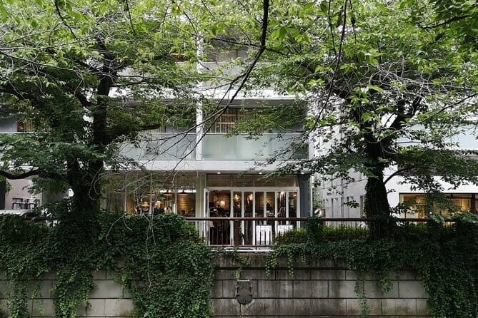 Omotesando & Shibuya Art and Culture Tour - In-Depth Review of the Tour Experience