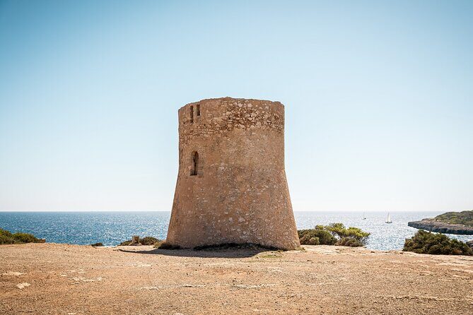 On Road Buggy Tour + Snorkeling - Final Thoughts