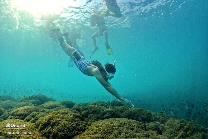OnBird - PRIVATE ADVENTURE SNORKELING - explore Half-moon reef & Coral Mountain - The Itinerary in Detail