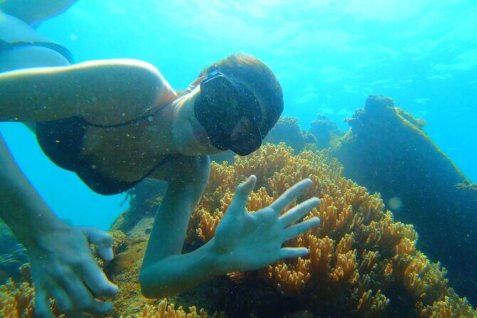 OnBird - PRIVATE ADVENTURE SNORKELING - explore Half-moon reef & Coral Mountain - Who Is This Tour Best For?