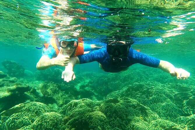 OnBird - Private family KID-FRIENDLY Snorkeling trip by speedboat in Phu Quoc - A detailed look at the Snorkeling Tour in Phu Quoc