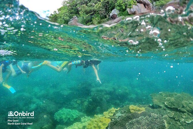 OnBird - Private family KID-FRIENDLY Snorkeling trip by speedboat in Phu Quoc - The Sum Up