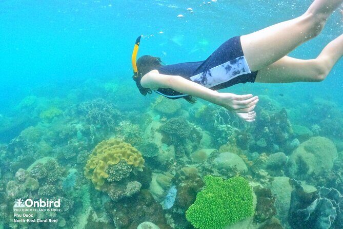 OnBird - Private family KID-FRIENDLY Snorkeling trip by speedboat in Phu Quoc - FAQ