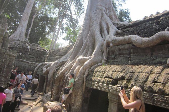 One Day Angkor World Heritage Tour - Who Is This Tour Best For?
