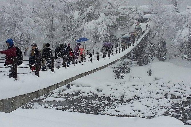 [One-day bus tour departing from Kanazawa Station] Shirakawa-go/Takayama tour platinum route bus tour - Key Points