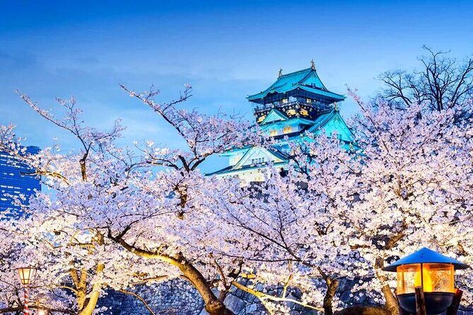 One Day Customized Self-Guided Tour in Osaka - A Close Look at the Itinerary