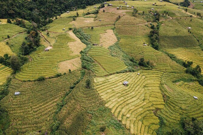 One day Doi Inthanon & Trekking at Pha Dok Siew - An In-Depth Look at the Tour Experience