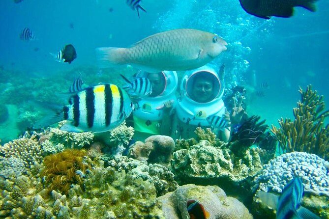 One Day Experiences In The Natural Life Nha Trang - Unlocking Nha Trang’s Natural Charm