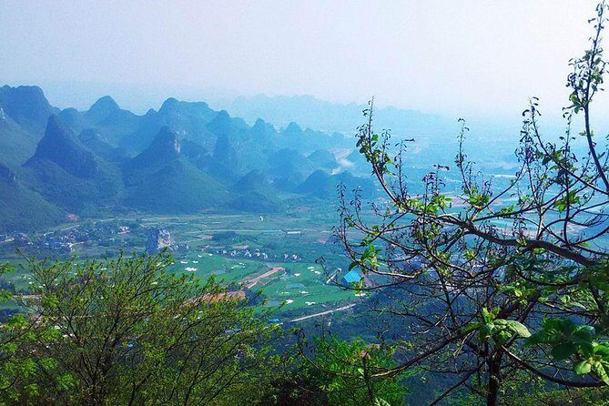 One Day Exploration to Daxu Old Town and Yaoshan Tea Plantation - Second Stop: Yaoshan Tea Plantation – From Plant to Cup