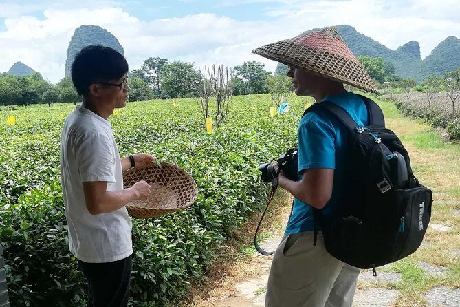 One Day Exploration to Daxu Old Town and Yaoshan Tea Plantation - Why Consider This Tour?