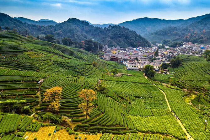 One-Day Hangzhou Dragon Well Tea Culture & West Lake Private Tour - Key Points