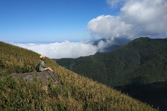 One Day Hike around Taipei's Yangmingshan National Park - An In-Depth Look at the Yangmingshan National Park Hike