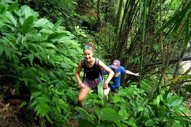 One Day Hiking and Elephant experience by Chiang Mai Elephant Home - A Review of the One Day Hiking and Elephant Experience by Chiang Mai Elephant Home