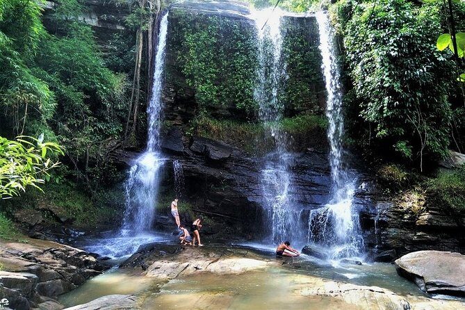 One Day Hiking and Elephant experience by Chiang Mai Elephant Home - Who Is This Tour Best Suited For?