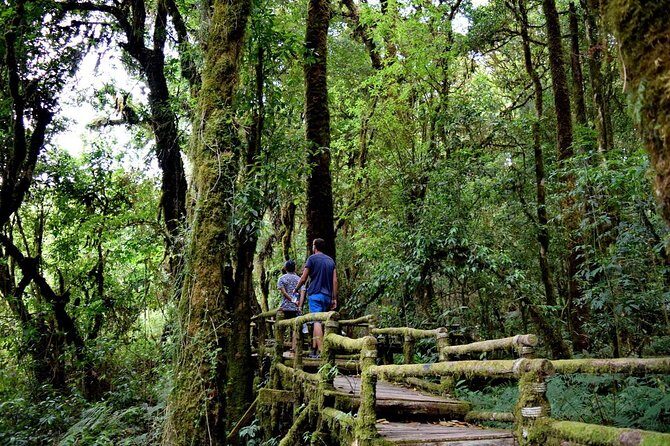 One Day Inthanon National Park (Private Tour) - The Transport, Guide, and Overall Experience