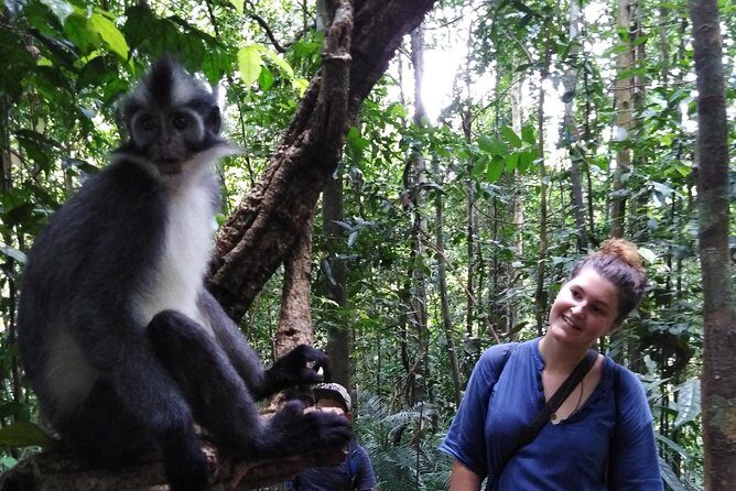 ONE DAY JUNGLE TREKKING 6-7 hours (see orang utan) + RAFTING in BUKIT LAWANG - Who Will Love This Tour?