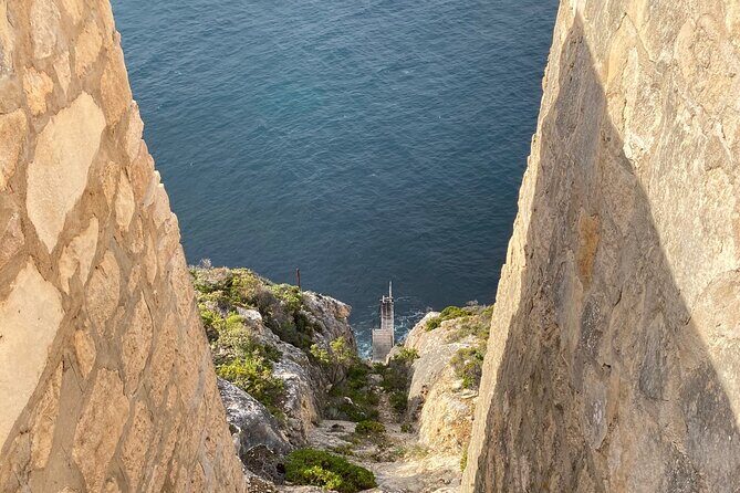 One Day Kangaroo Island Highlights Tour - Key Points