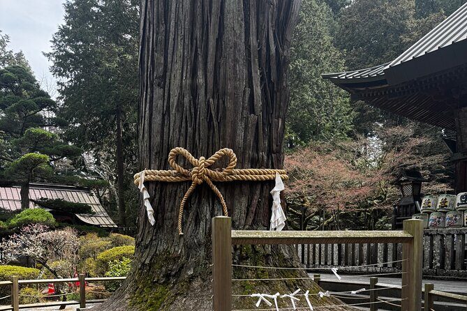 One day mountain Fuji & Hakone tour with English hindi bilingual - An In-Depth Look at the Tour Experience