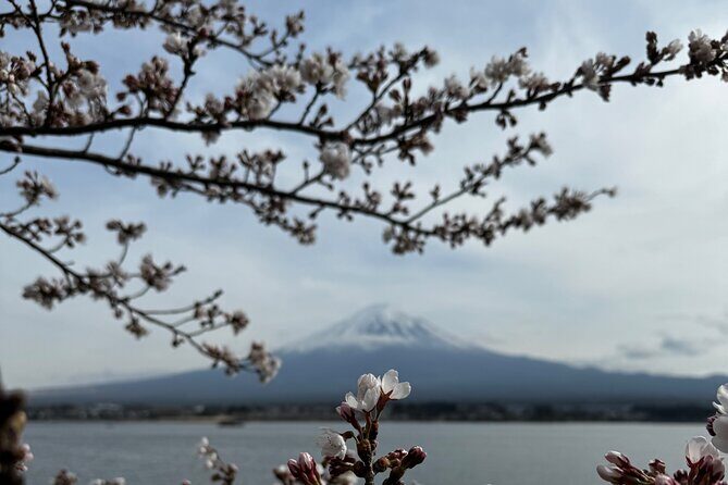 One day mountain Fuji & Hakone tour with English hindi bilingual - Final Thoughts