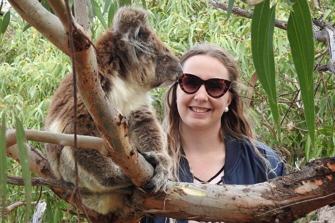 One Day Port Lincoln Tour - Tasting Eyre - Introduction: Why This Tour Stands Out